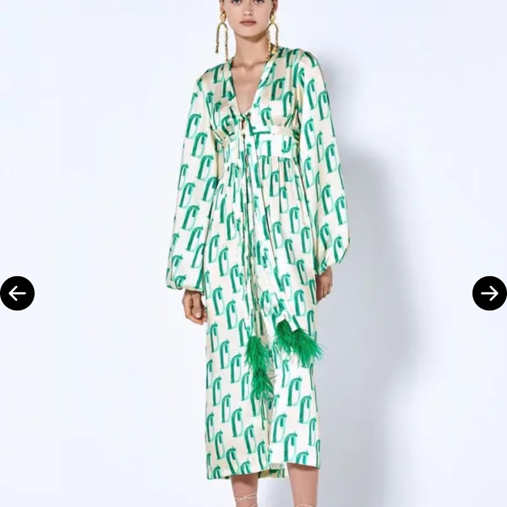 Alexis Pasha Dress - Elegant Green Patterned Dress